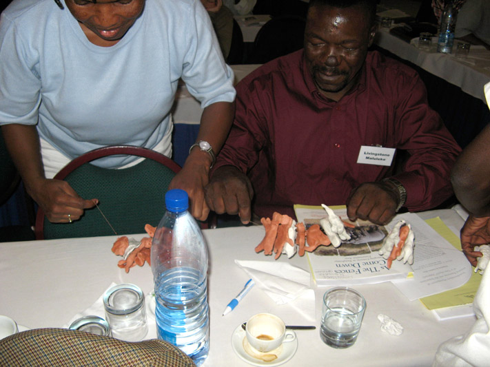 gltfca 2009