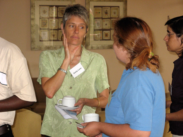 gltfca 2009